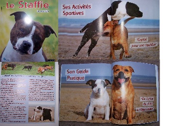 Of deleans - Nos chiens dans le livre STAFFIE